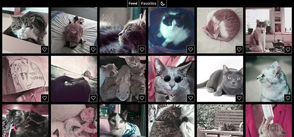 Catstagram