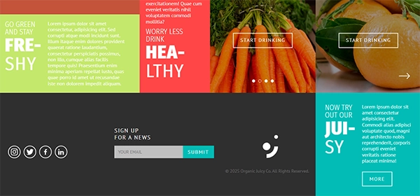 Organic Juicy Co. – Liquid Health for Your Body