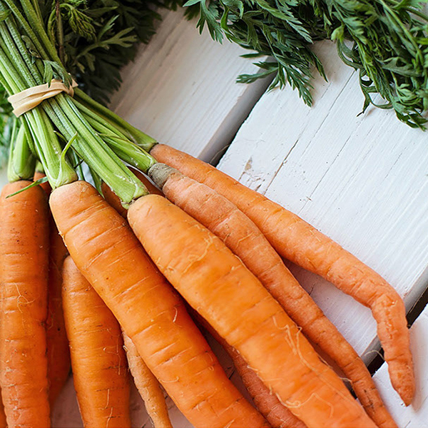 Thirsty Fruits and Vegetables