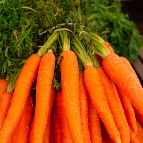 Thirsty Fruits and Vegetables