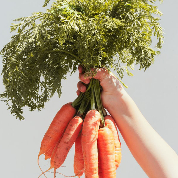 Thirsty Fruits and Vegetables
